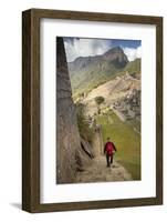 Man Walking Down Stone Steps of Machu Picchu, Peru-Merrill Images-Framed Photographic Print