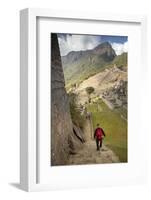 Man Walking Down Stone Steps of Machu Picchu, Peru-Merrill Images-Framed Photographic Print