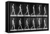 Man Walking, from 'Animal Locomotion', 1887 (B/W Photo)-Eadweard Muybridge-Framed Stretched Canvas