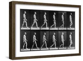 Man Walking, from 'Animal Locomotion', 1887 (B/W Photo)-Eadweard Muybridge-Framed Giclee Print