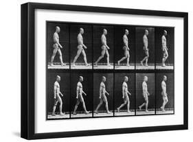 Man Walking, from 'Animal Locomotion', 1887 (B/W Photo)-Eadweard Muybridge-Framed Giclee Print