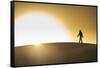 Man walking in backlight on a sand dune, Tenere desert, Niger, West Africa, Africa-Michael Runkel-Framed Stretched Canvas