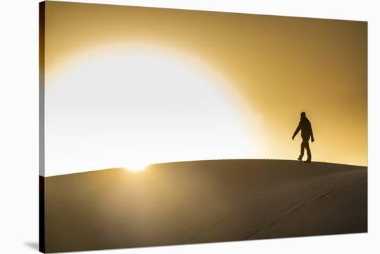 Man walking in backlight on a sand dune, Tenere desert, Niger, West Africa, Africa-Michael Runkel-Stretched Canvas