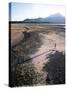 Man Walking on Dry Lake Bed with Llaima Volcano in Distance, Conguillio National Park, Chile-Aaron McCoy-Stretched Canvas