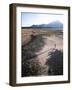 Man Walking on Dry Lake Bed with Llaima Volcano in Distance, Conguillio National Park, Chile-Aaron McCoy-Framed Photographic Print