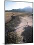 Man Walking on Dry Lake Bed with Llaima Volcano in Distance, Conguillio National Park, Chile-Aaron McCoy-Mounted Photographic Print