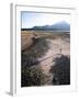 Man Walking on Dry Lake Bed with Llaima Volcano in Distance, Conguillio National Park, Chile-Aaron McCoy-Framed Photographic Print