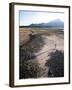 Man Walking on Dry Lake Bed with Llaima Volcano in Distance, Conguillio National Park, Chile-Aaron McCoy-Framed Photographic Print