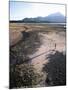 Man Walking on Dry Lake Bed with Llaima Volcano in Distance, Conguillio National Park, Chile-Aaron McCoy-Mounted Photographic Print