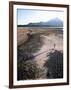 Man Walking on Dry Lake Bed with Llaima Volcano in Distance, Conguillio National Park, Chile-Aaron McCoy-Framed Photographic Print