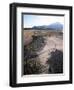 Man Walking on Dry Lake Bed with Llaima Volcano in Distance, Conguillio National Park, Chile-Aaron McCoy-Framed Photographic Print