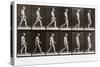 Man Walking, Plate 6 from Animal Locomotion, 1887 (Photograph)-Eadweard Muybridge-Stretched Canvas