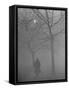 Man Walking Through Hyde Park in the Fog-Mark Kauffman-Framed Stretched Canvas