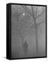 Man Walking Through Hyde Park in the Fog-Mark Kauffman-Framed Stretched Canvas