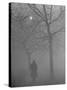 Man Walking Through Hyde Park in the Fog-Mark Kauffman-Stretched Canvas