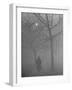 Man Walking Through Hyde Park in the Fog-Mark Kauffman-Framed Photographic Print