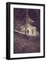 Man Walking Through Woods-Steve Allsopp-Framed Photographic Print