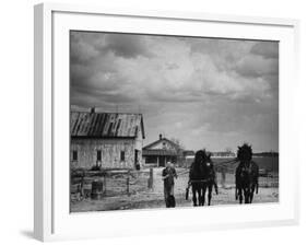 Man Walking Two Clydesdale Horses on the Ranch-William C^ Shrout-Framed Photographic Print