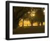 Man Walking Under Trees, Hagley Park, Christchurch, Canterbury, South Island, New Zealand, Pacific-Jochen Schlenker-Framed Photographic Print