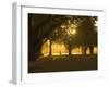 Man Walking Under Trees, Hagley Park, Christchurch, Canterbury, South Island, New Zealand, Pacific-Jochen Schlenker-Framed Photographic Print