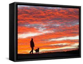 Man Walks His Dog under a Red Sky in the Afternoon Hours in Frankfurt, Central Germany-null-Framed Stretched Canvas