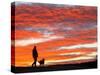 Man Walks His Dog under a Red Sky in the Afternoon Hours in Frankfurt, Central Germany-null-Stretched Canvas