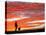 Man Walks His Dog under a Red Sky in the Afternoon Hours in Frankfurt, Central Germany-null-Stretched Canvas