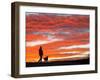 Man Walks His Dog under a Red Sky in the Afternoon Hours in Frankfurt, Central Germany-null-Framed Photographic Print