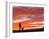 Man Walks His Dog under a Red Sky in the Afternoon Hours in Frankfurt, Central Germany-null-Framed Photographic Print