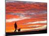 Man Walks His Dog under a Red Sky in the Afternoon Hours in Frankfurt, Central Germany-null-Mounted Photographic Print