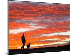 Man Walks His Dog under a Red Sky in the Afternoon Hours in Frankfurt, Central Germany-null-Mounted Photographic Print