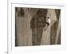 Man Wall Climbing Indoors with Equipment-null-Framed Photographic Print