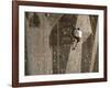 Man Wall Climbing Indoors with Equipment-null-Framed Photographic Print