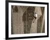 Man Wall Climbing Indoors with Equipment-null-Framed Photographic Print