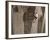 Man Wall Climbing Indoors with Equipment-null-Framed Photographic Print