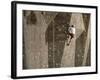 Man Wall Climbing Indoors with Equipment-null-Framed Photographic Print