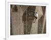 Man Wall Climbing Indoors with Equipment-null-Framed Photographic Print