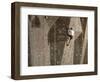 Man Wall Climbing Indoors with Equipment-null-Framed Photographic Print