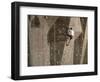 Man Wall Climbing Indoors with Equipment-null-Framed Photographic Print