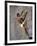 Man Wall Climbing Indoors-null-Framed Photographic Print