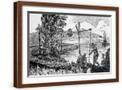 Brown Frame