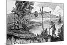Wood Mount