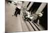 Man Wearing a 'Jesus' T-Shirt Staring at Lovers, 2004-Stephen Spiller-Mounted Photographic Print