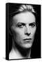 Man Who Fell to Earth, David Bowie 1976-null-Framed Stretched Canvas