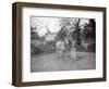 Man with a Horse, Alipore, India, 1905-1906-FL Peters-Framed Giclee Print