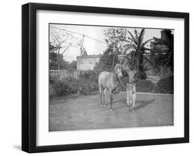 Man with a Horse, Alipore, India, 1905-1906-FL Peters-Framed Giclee Print