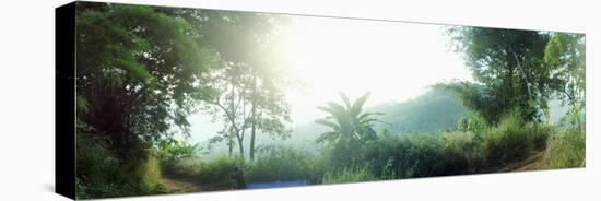 Man with a Slingshot in a Forest, Chiang Mai, Thailand-null-Stretched Canvas