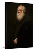 Man with a White Beard, C. 1570-Jacopo Tintoretto-Stretched Canvas