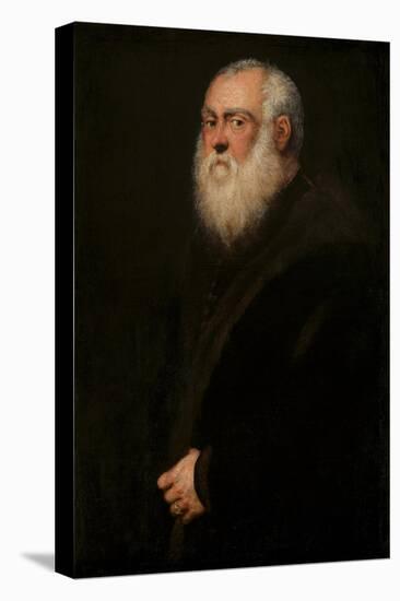 Man with a White Beard, C. 1570-Jacopo Tintoretto-Stretched Canvas