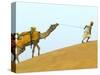 Man with Camel with Sam Sand Dunes, Thar Desert, Jaisalmer, Rajasthan, India-Keren Su-Stretched Canvas